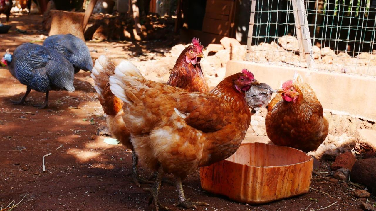 Souimanga-Hotel Antsirabe Esterno foto